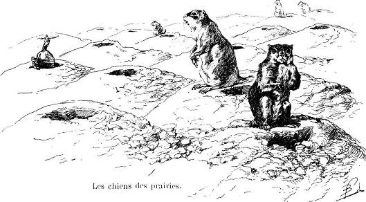 Une image contenant croquis, dessin, illustration, mammifre

Le contenu gnr par lIA peut tre incorrect.